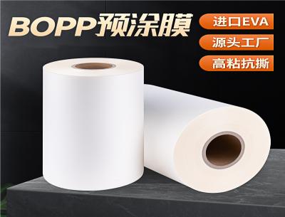 BOPP預(yù)涂膜 BOPP預(yù)涂膜